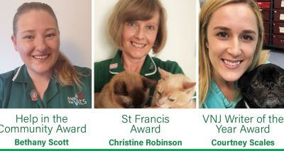 BVNA Awards winners revealed